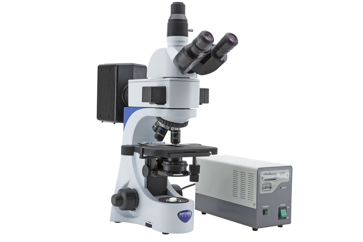 Fluorescence Microscope